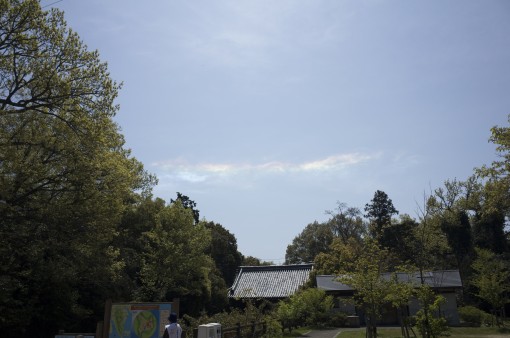 大きめのものも現れてきました虹色の雲