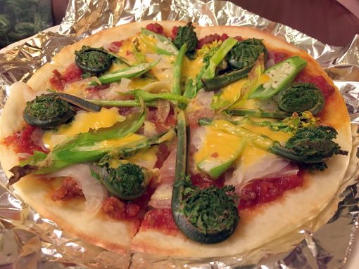 昨夜の我家のピザは、ボンのおうちからのいただいた山菜で、春味美味なり!!