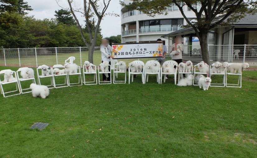 本日モフ会